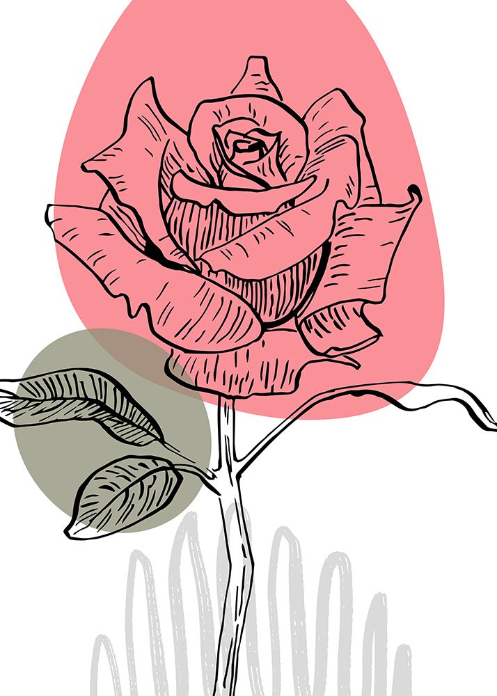 Roses flowers minimal art art print by AcantStudio for $57.95 CAD