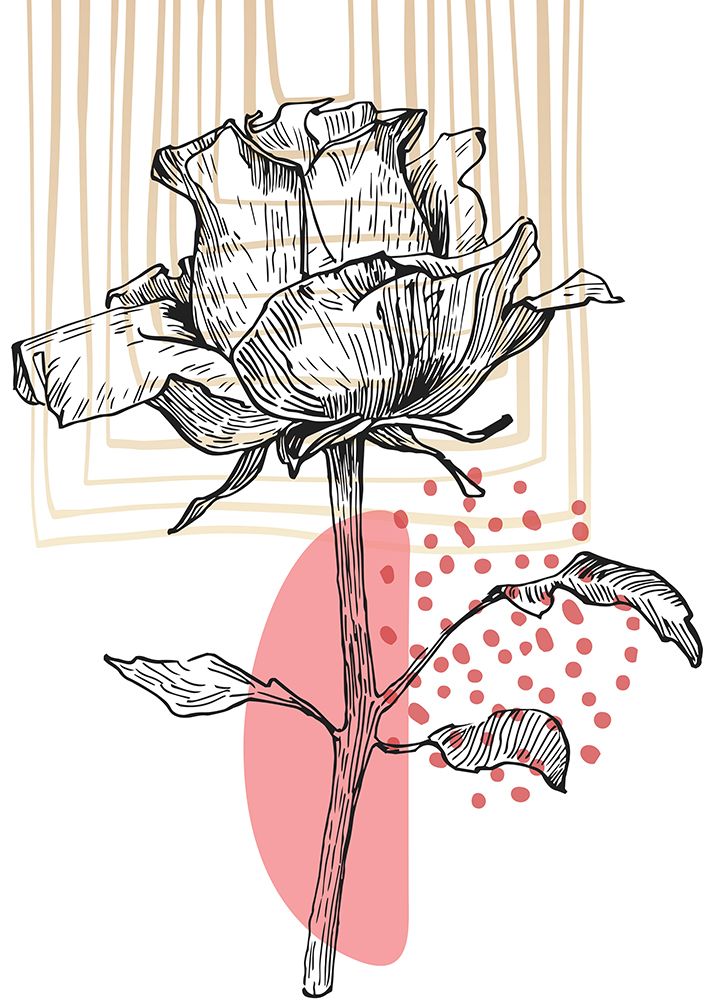 Roses flowers minimal art art print by AcantStudio for $57.95 CAD