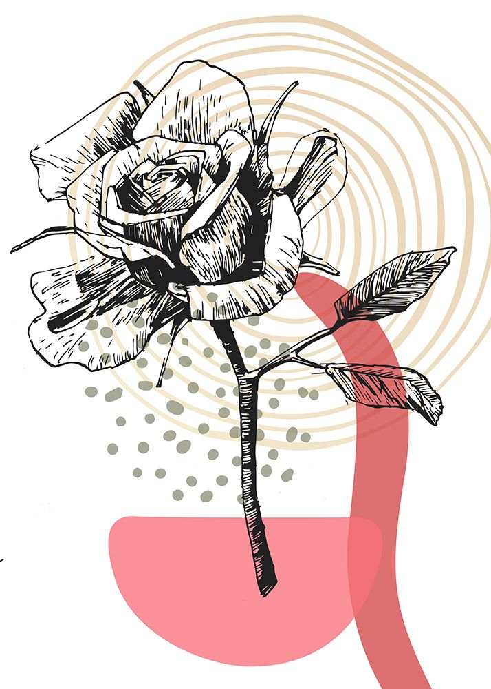 Roses flowers minimal art art print by AcantStudio for $57.95 CAD