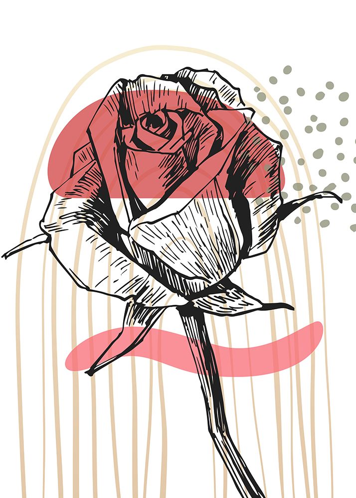 Roses flowers minimal art art print by AcantStudio for $57.95 CAD