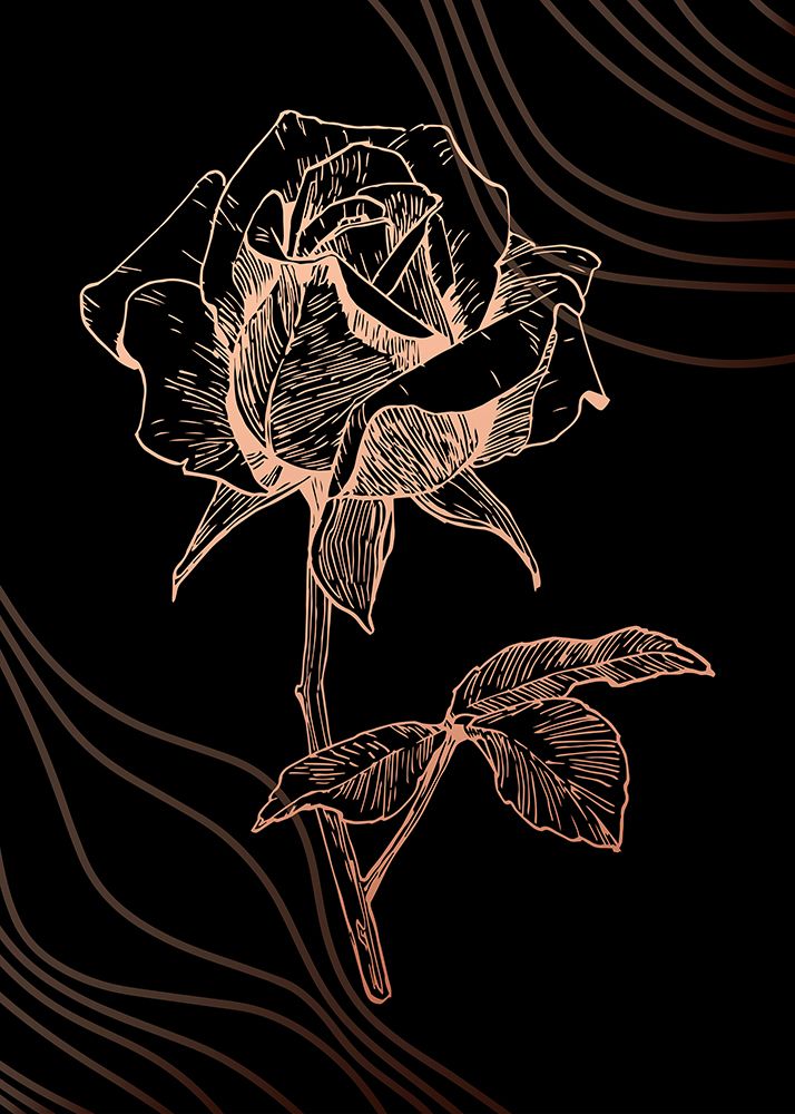 Roses flowers minimal art art print by AcantStudio for $57.95 CAD