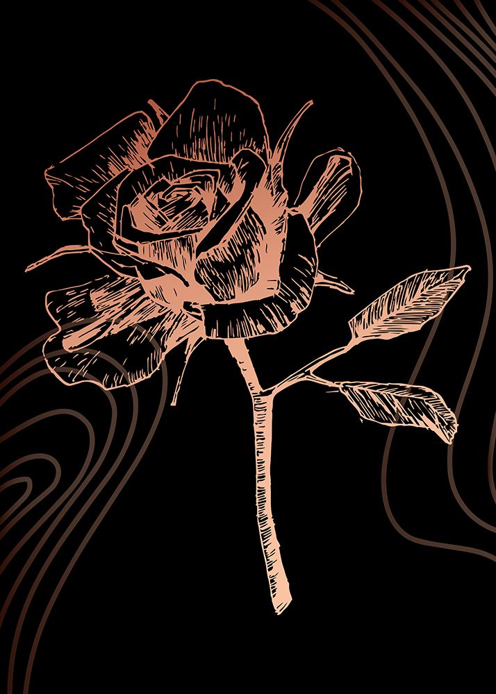Roses flowers minimal art art print by AcantStudio for $57.95 CAD
