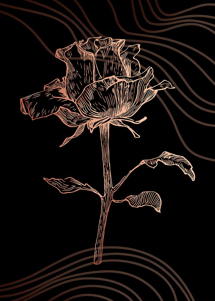 Roses flowers minimal art art print by AcantStudio for $57.95 CAD