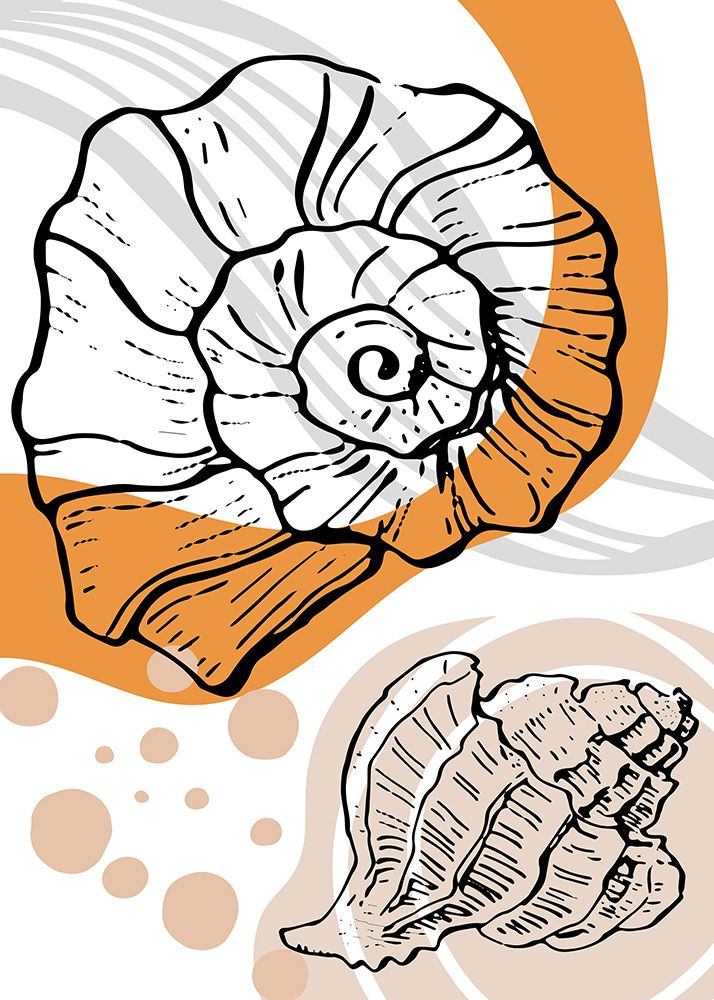 Shells art print by AcantStudio for $57.95 CAD