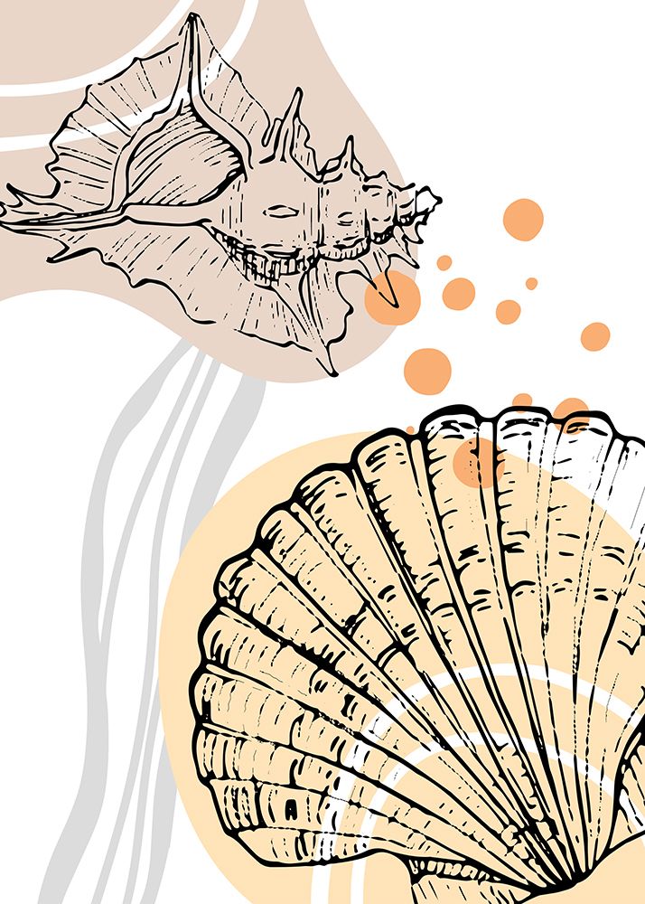 Shells art print by AcantStudio for $57.95 CAD