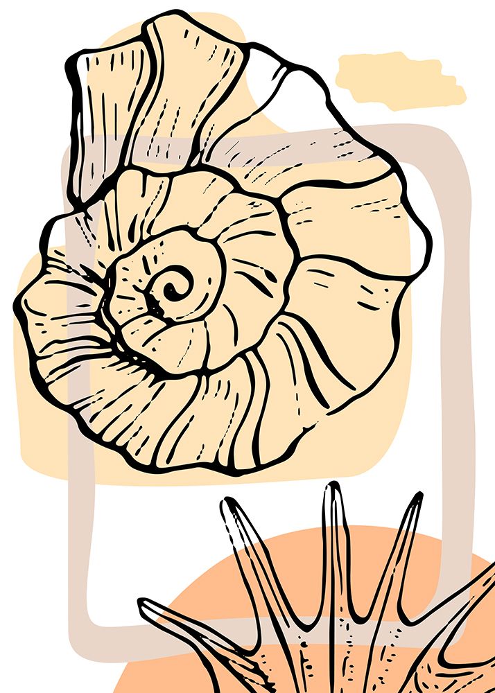 Shells art print by AcantStudio for $57.95 CAD