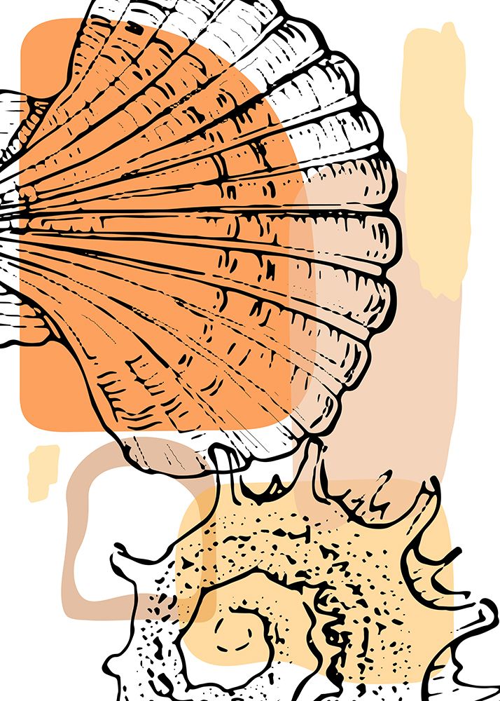 Shells art print by AcantStudio for $57.95 CAD