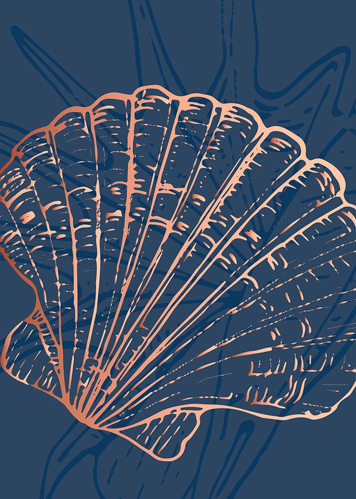 Shells art print by AcantStudio for $57.95 CAD