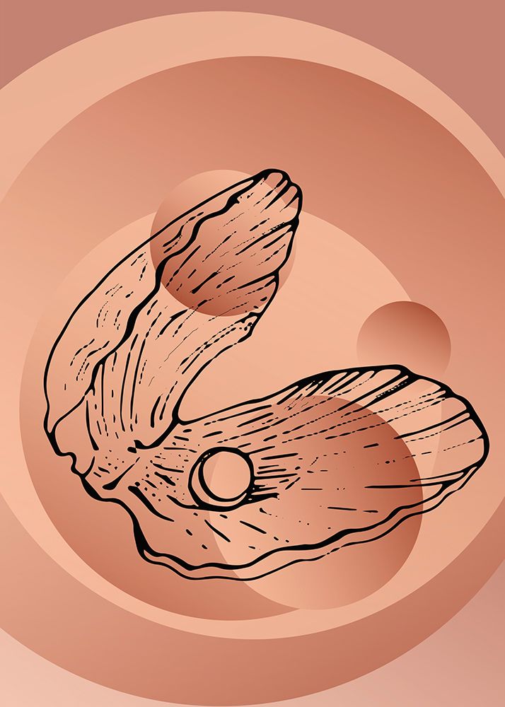 Shells art print by AcantStudio for $57.95 CAD