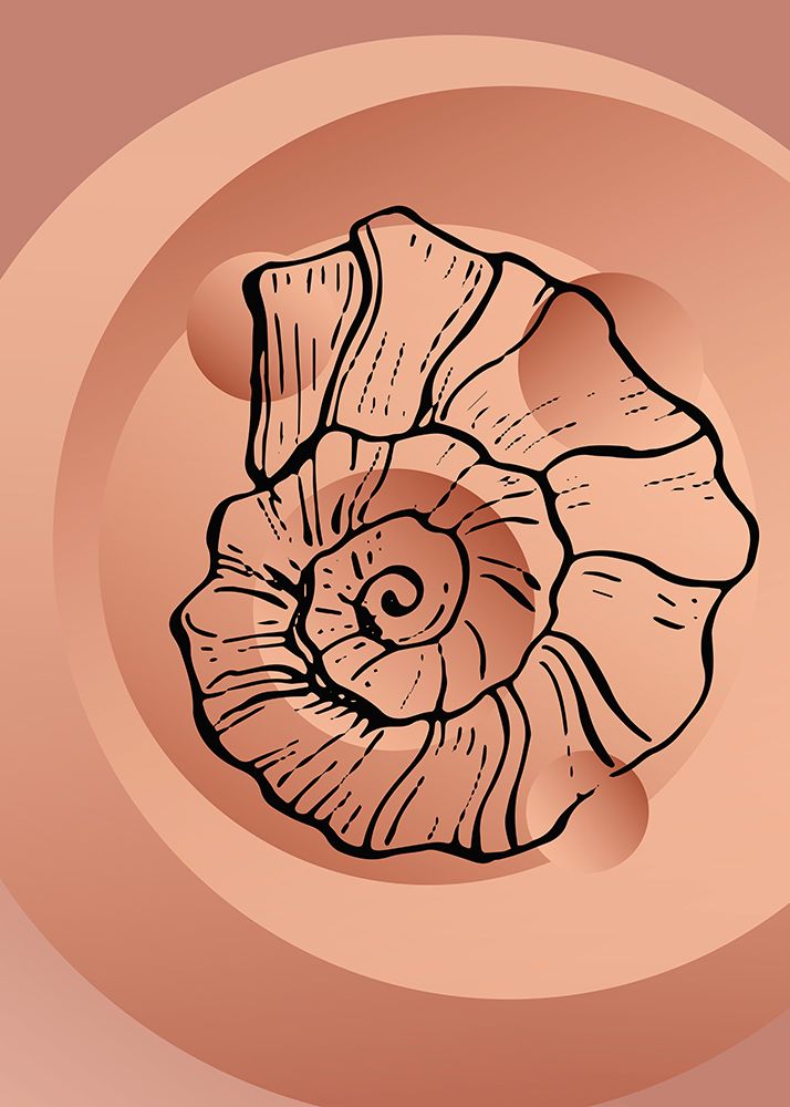 Shells art print by AcantStudio for $57.95 CAD