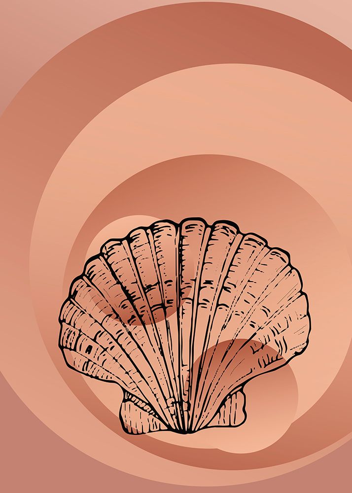 Shells art print by AcantStudio for $57.95 CAD
