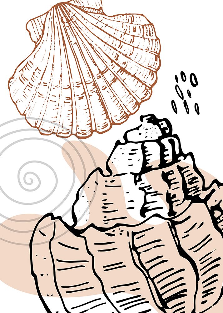 Shells art print by AcantStudio for $57.95 CAD