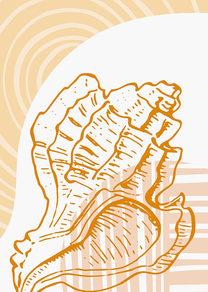Shells art print by AcantStudio for $57.95 CAD