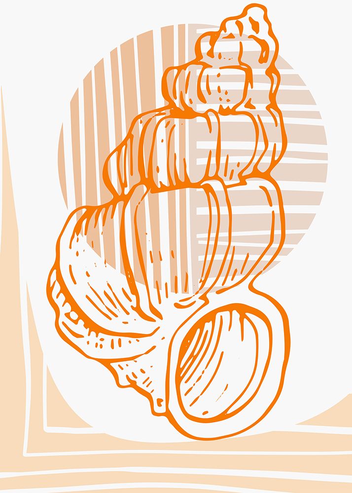 Shells art print by AcantStudio for $57.95 CAD