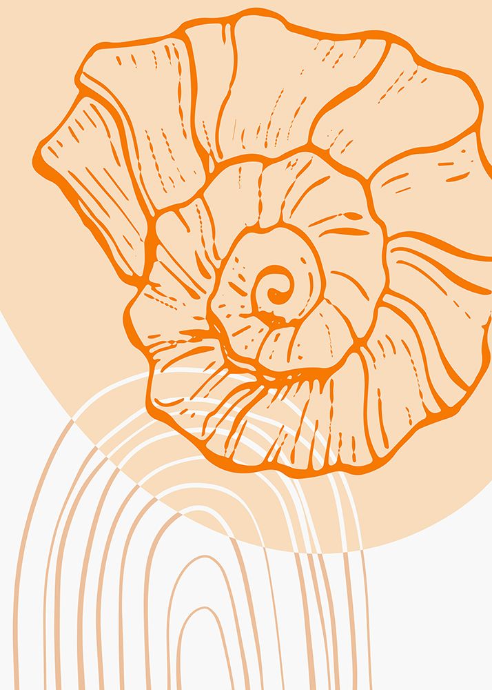 Shells art print by AcantStudio for $57.95 CAD