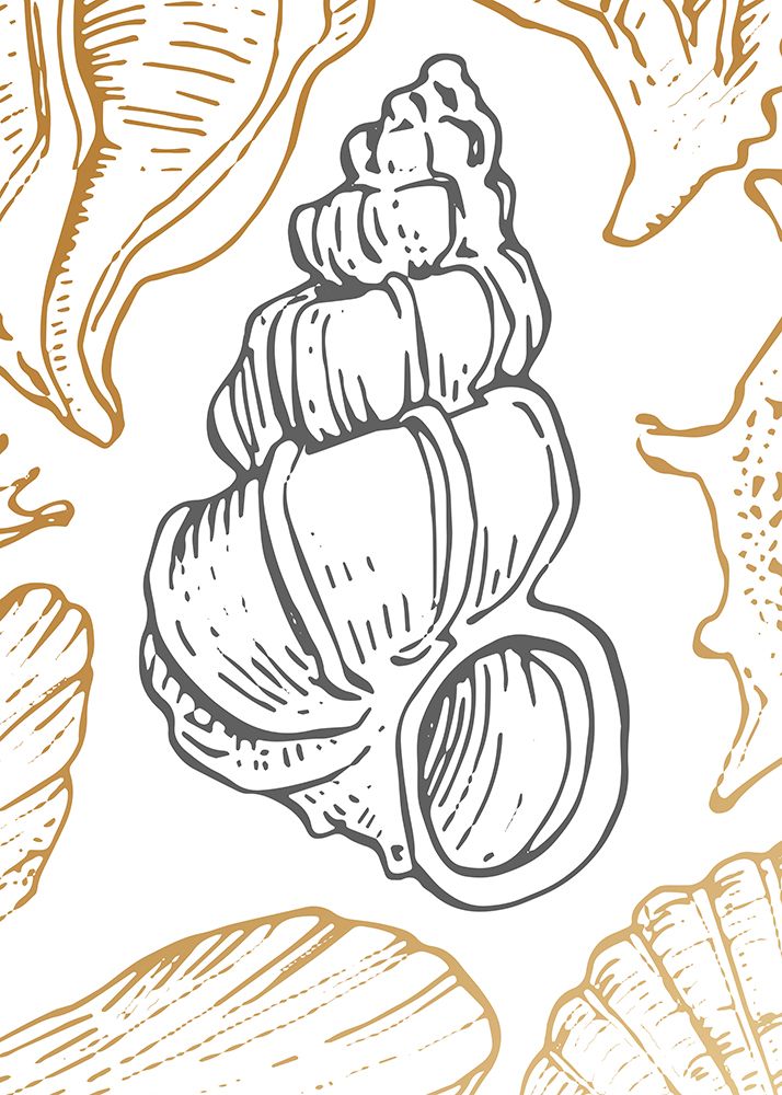 Shells art print by AcantStudio for $57.95 CAD