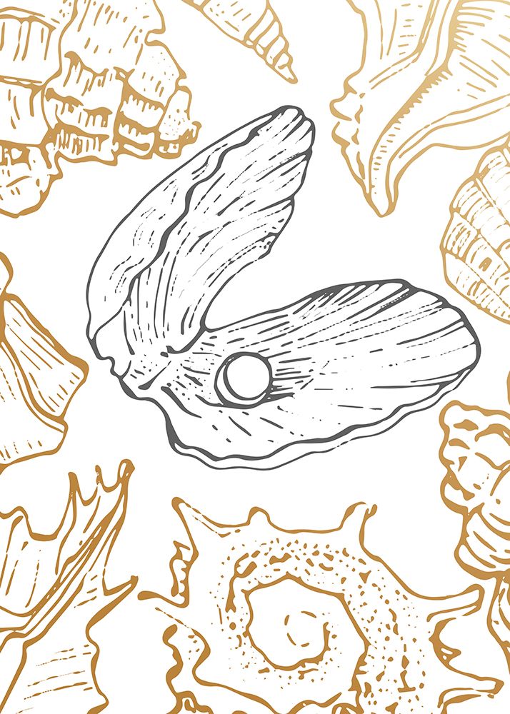 Shells art print by AcantStudio for $57.95 CAD