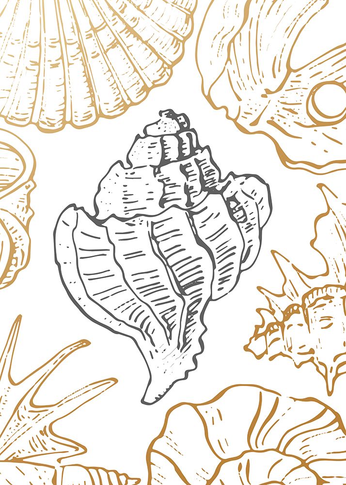 Shells art print by AcantStudio for $57.95 CAD