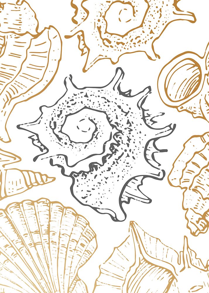 Shells art print by AcantStudio for $57.95 CAD