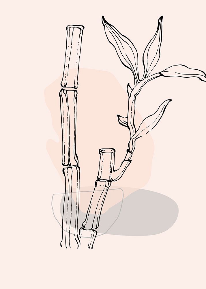 Bamboo art print by AcantStudio for $57.95 CAD