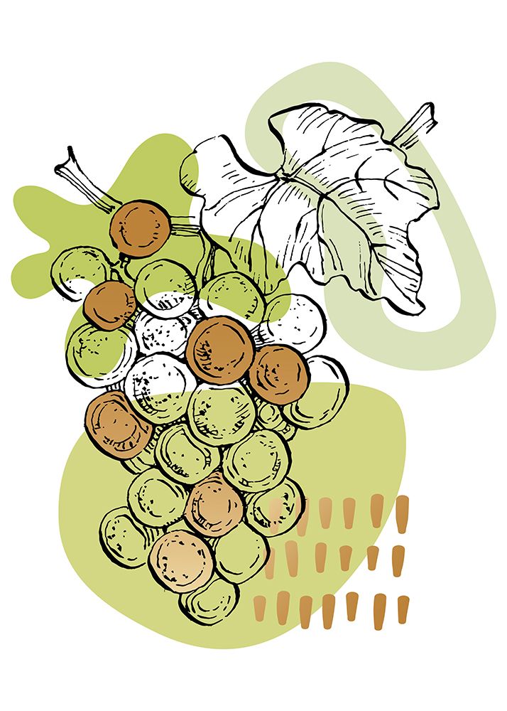 Grape art print by AcantStudio for $57.95 CAD