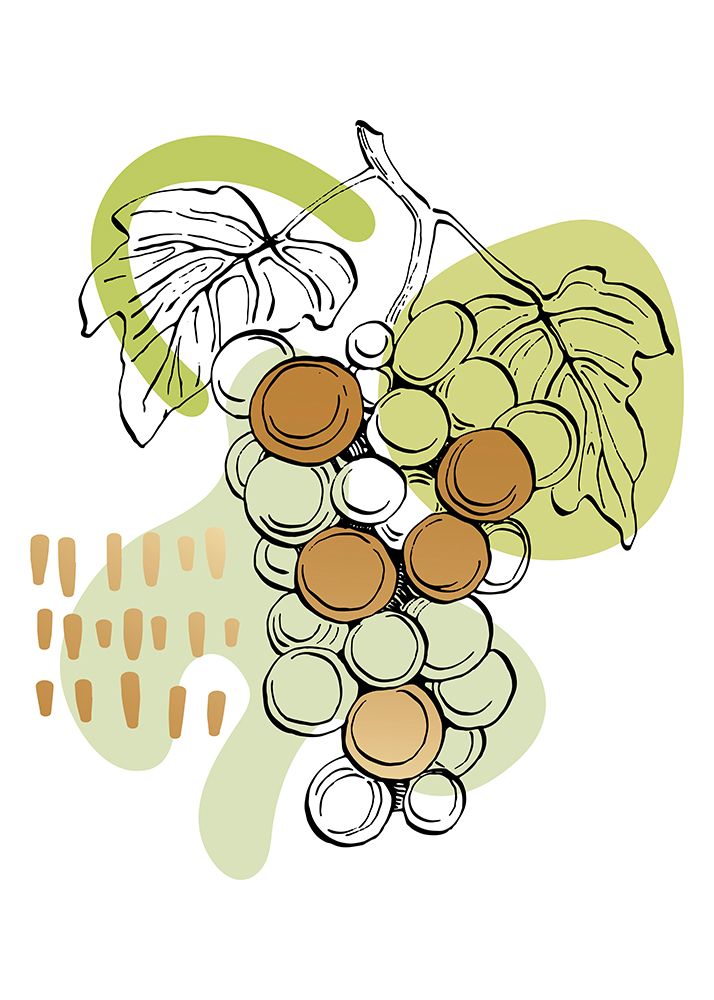 Grape art print by AcantStudio for $57.95 CAD