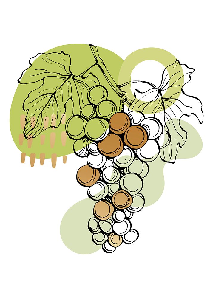 Grape art print by AcantStudio for $57.95 CAD