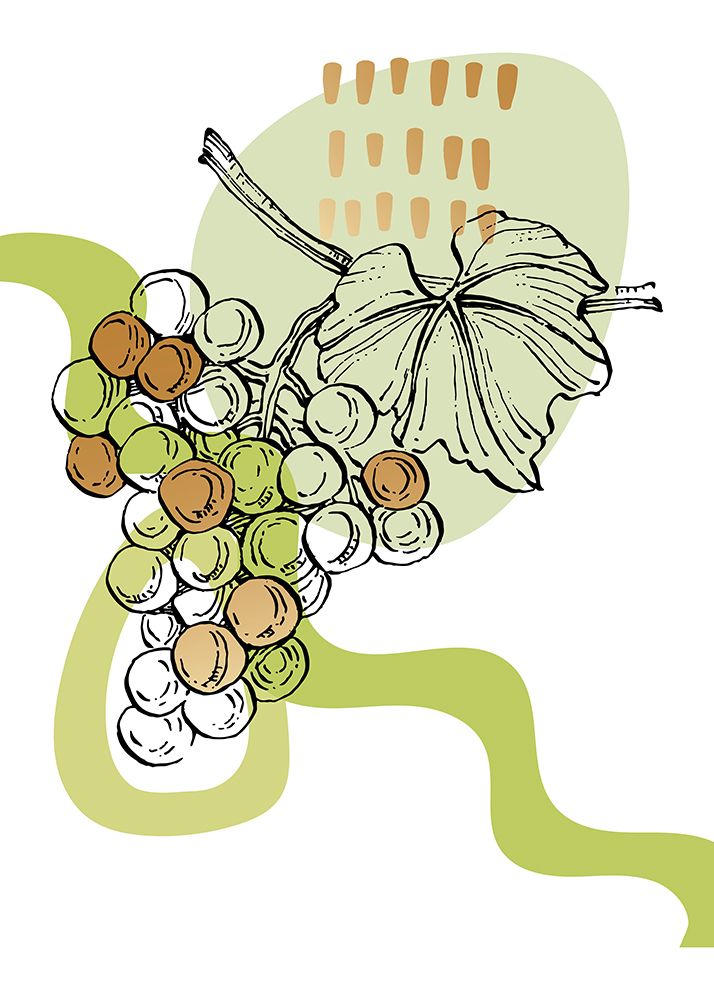 Grape art print by AcantStudio for $57.95 CAD