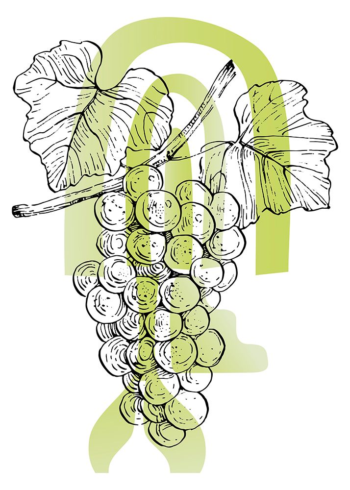 Grape art print by AcantStudio for $57.95 CAD