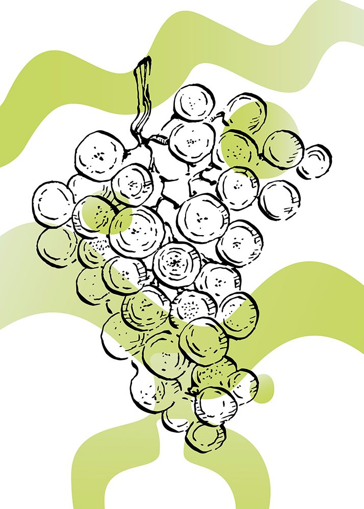 Grape art print by AcantStudio for $57.95 CAD