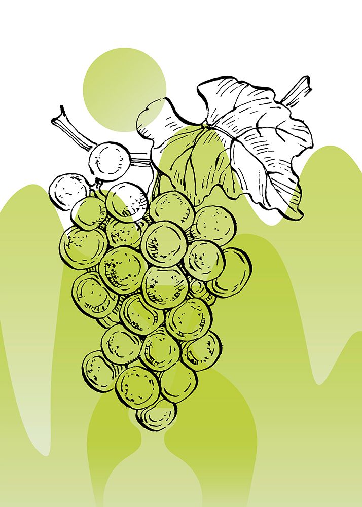 Grape art print by AcantStudio for $57.95 CAD