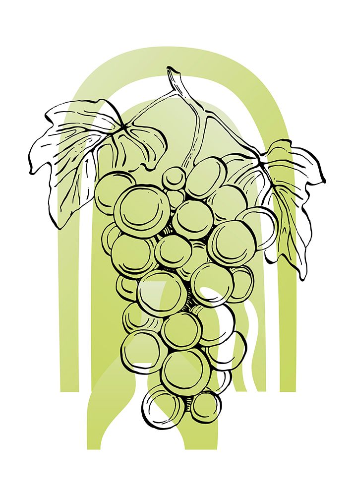Grape art print by AcantStudio for $57.95 CAD