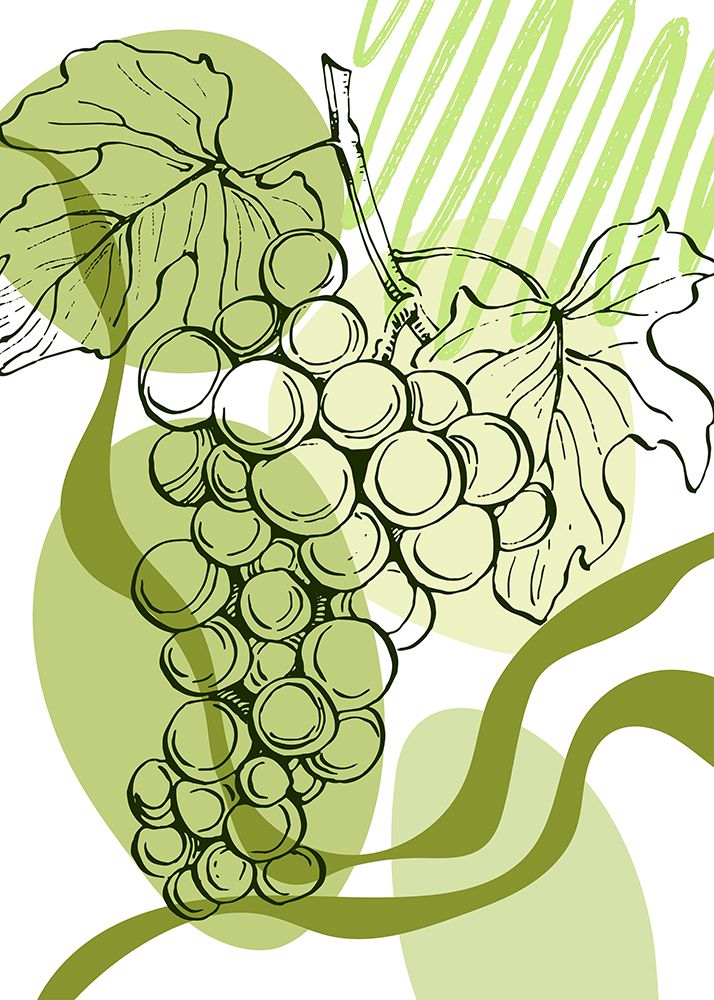 Grape art print by AcantStudio for $57.95 CAD