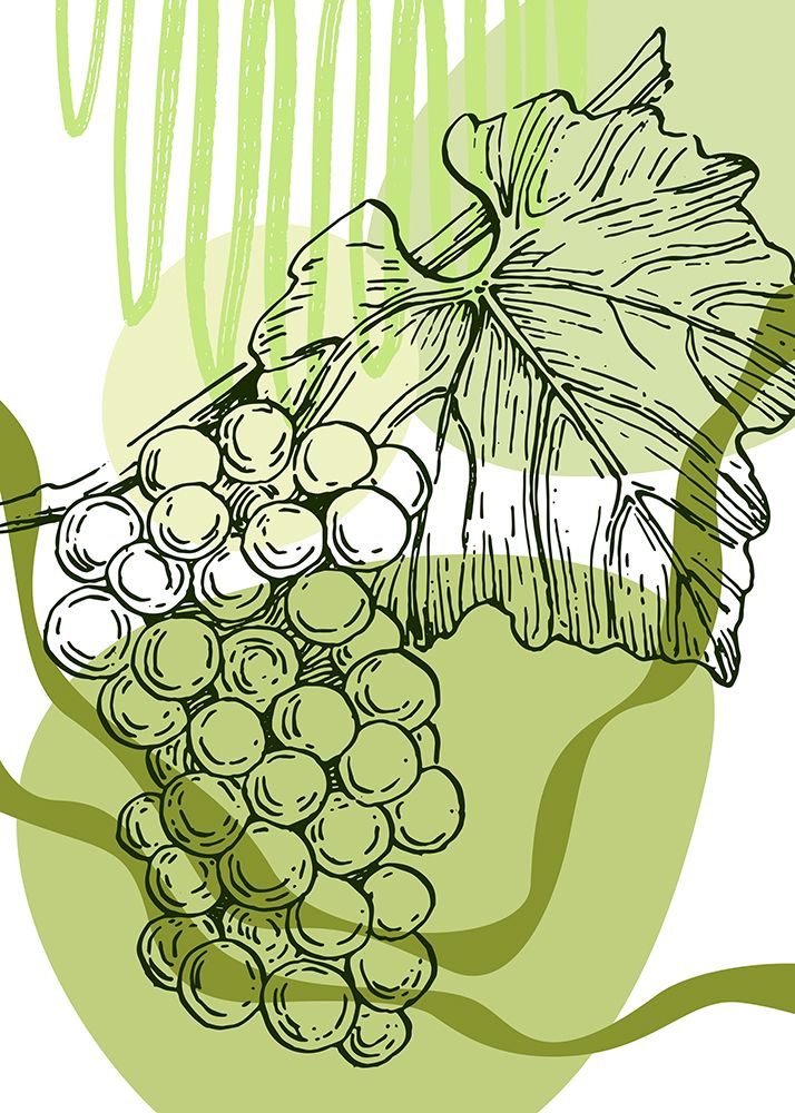 Grape art print by AcantStudio for $57.95 CAD