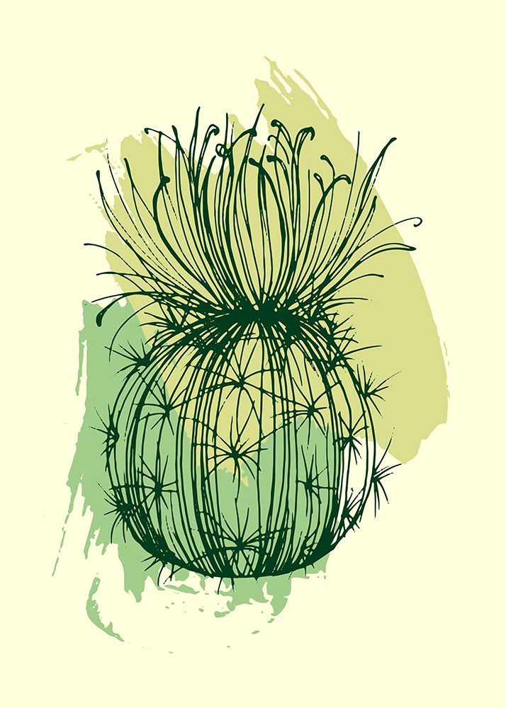 Cactus exotic plants succulents art print by AcantStudio for $57.95 CAD
