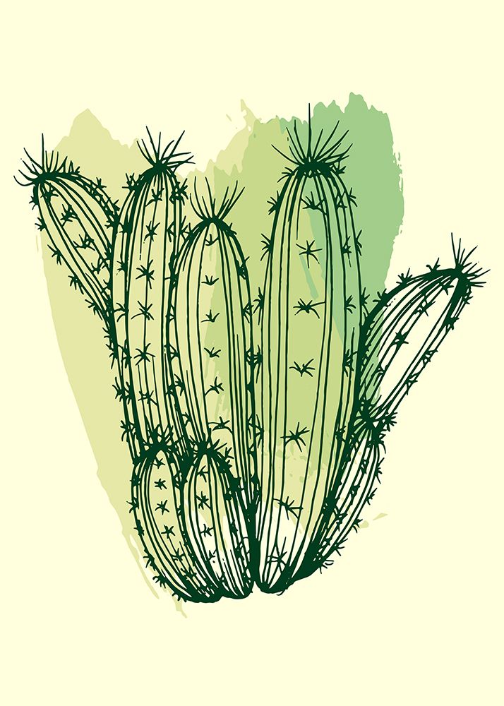 Cactus exotic plants succulents art print by AcantStudio for $57.95 CAD