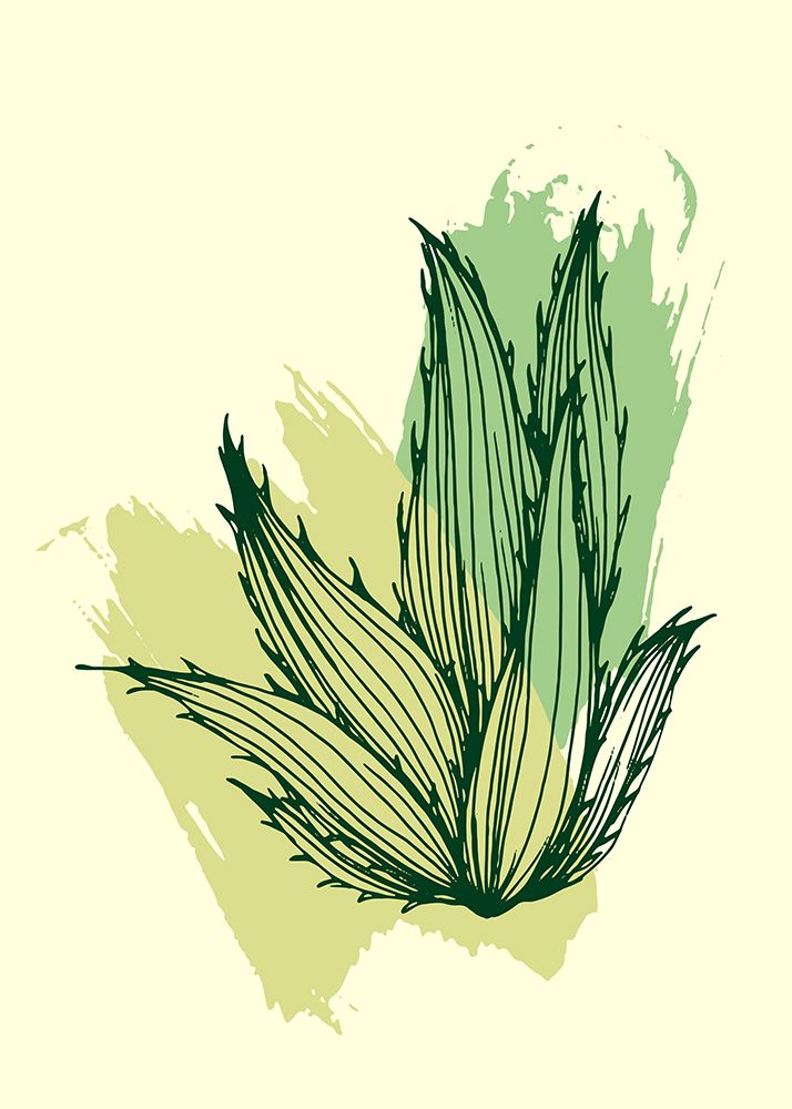 Cactus exotic plants succulents art print by AcantStudio for $57.95 CAD