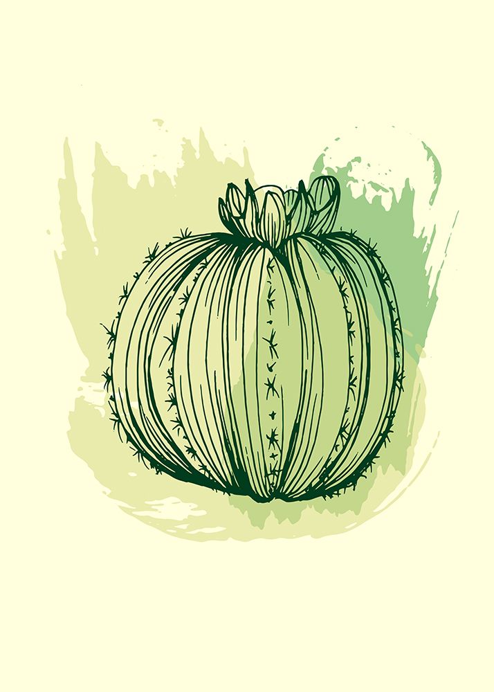 Cactus exotic plants succulents art print by AcantStudio for $57.95 CAD