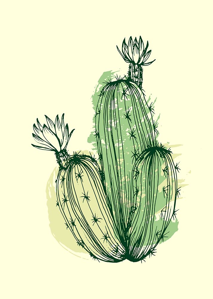 Cactus exotic plants succulents art print by AcantStudio for $57.95 CAD