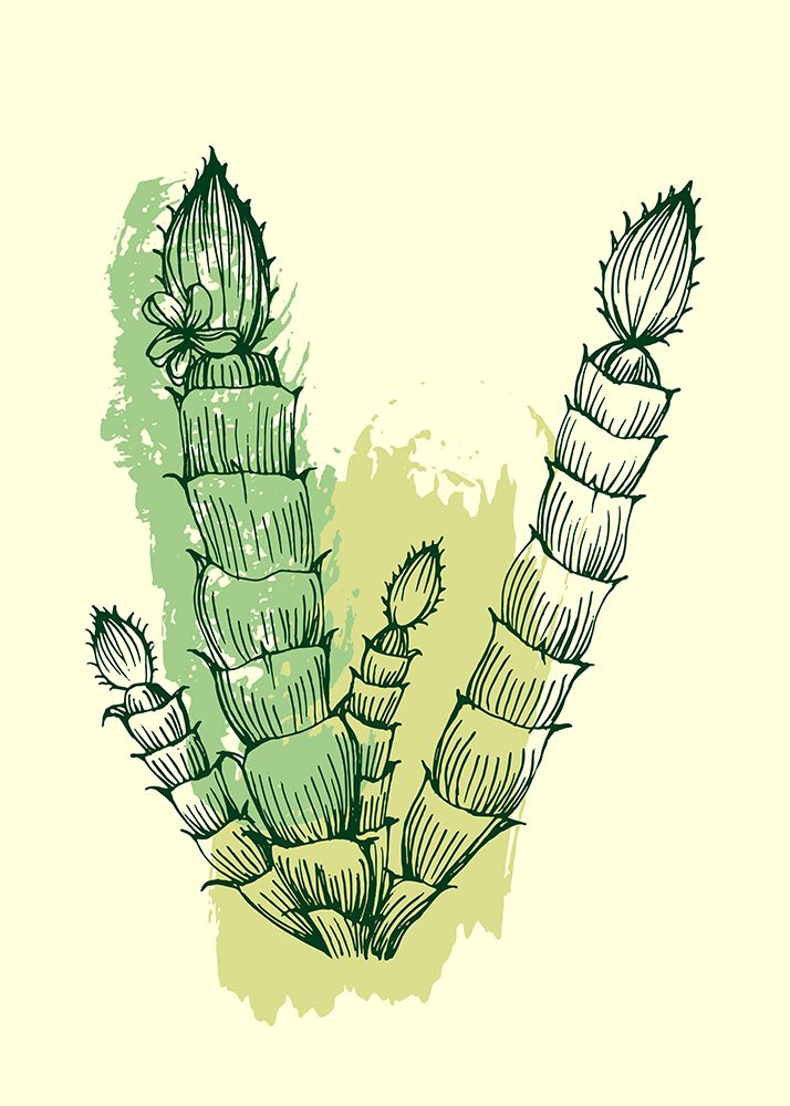 Cactus exotic plants succulents art print by AcantStudio for $57.95 CAD