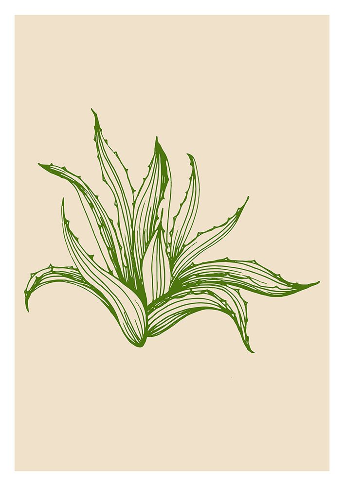 Cactus exotic plants succulents art print by AcantStudio for $57.95 CAD