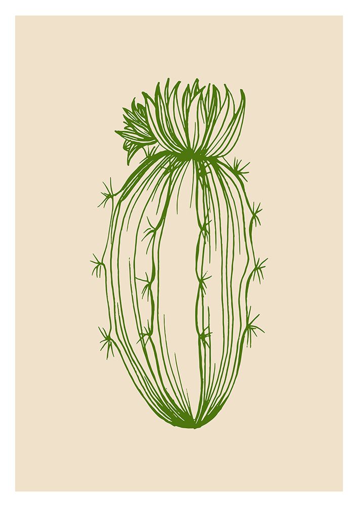 Cactus exotic plants succulents art print by AcantStudio for $57.95 CAD