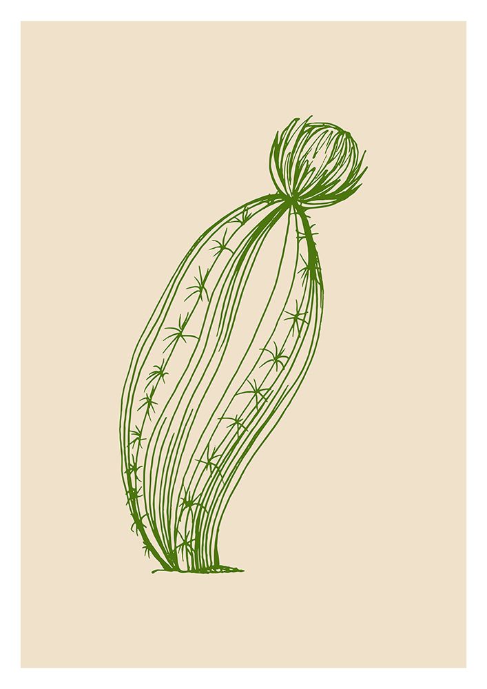 Cactus exotic plants succulents art print by AcantStudio for $57.95 CAD