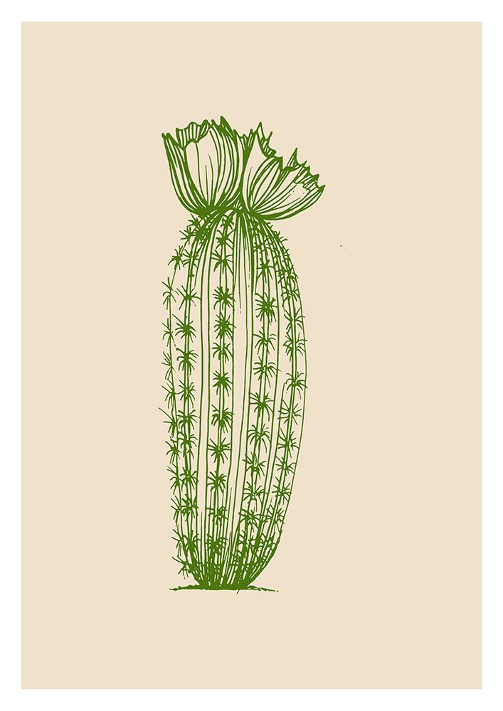 Cactus exotic plants succulents art print by AcantStudio for $57.95 CAD