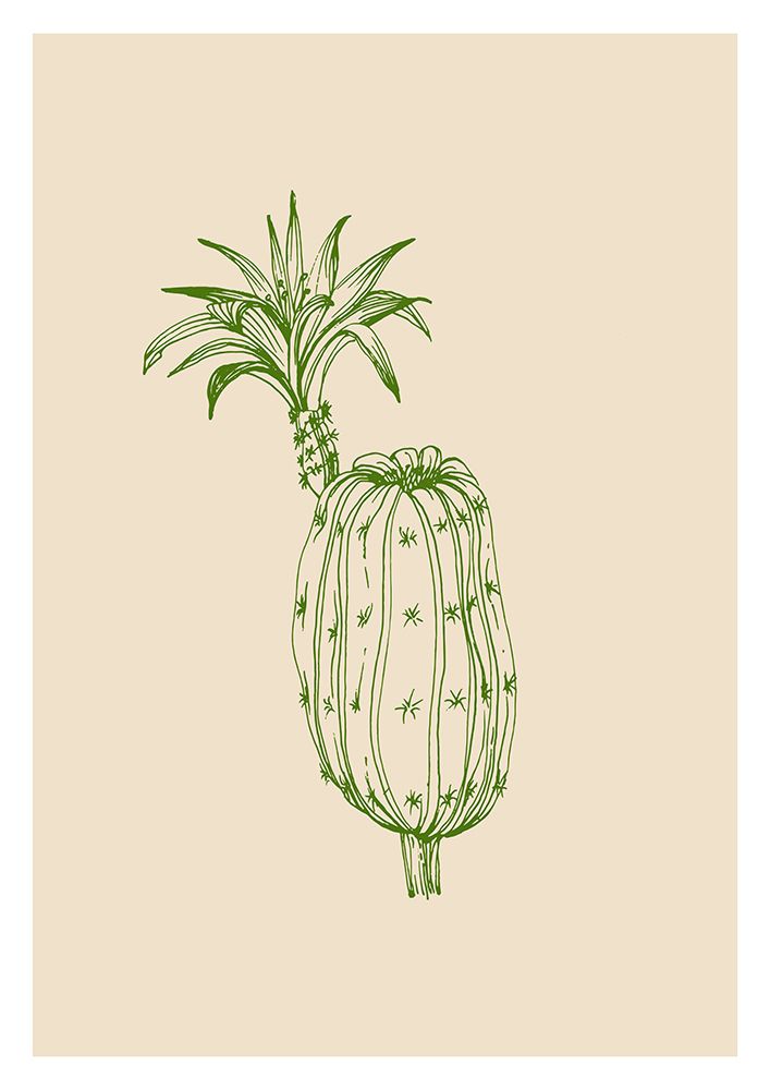 Cactus exotic plants succulents art print by AcantStudio for $57.95 CAD