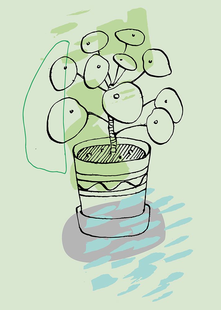 Flowers Indoor plants art print by AcantStudio for $57.95 CAD