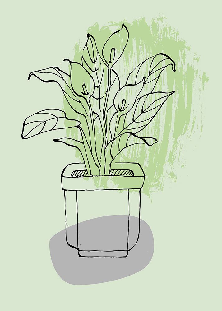 Flowers Indoor plants art print by AcantStudio for $57.95 CAD