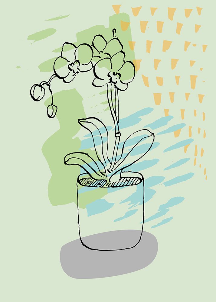 Flowers Indoor plants art print by AcantStudio for $57.95 CAD