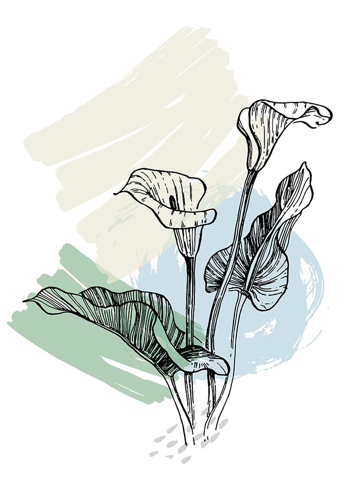 Callas flowers minimal art art print by AcantStudio for $57.95 CAD