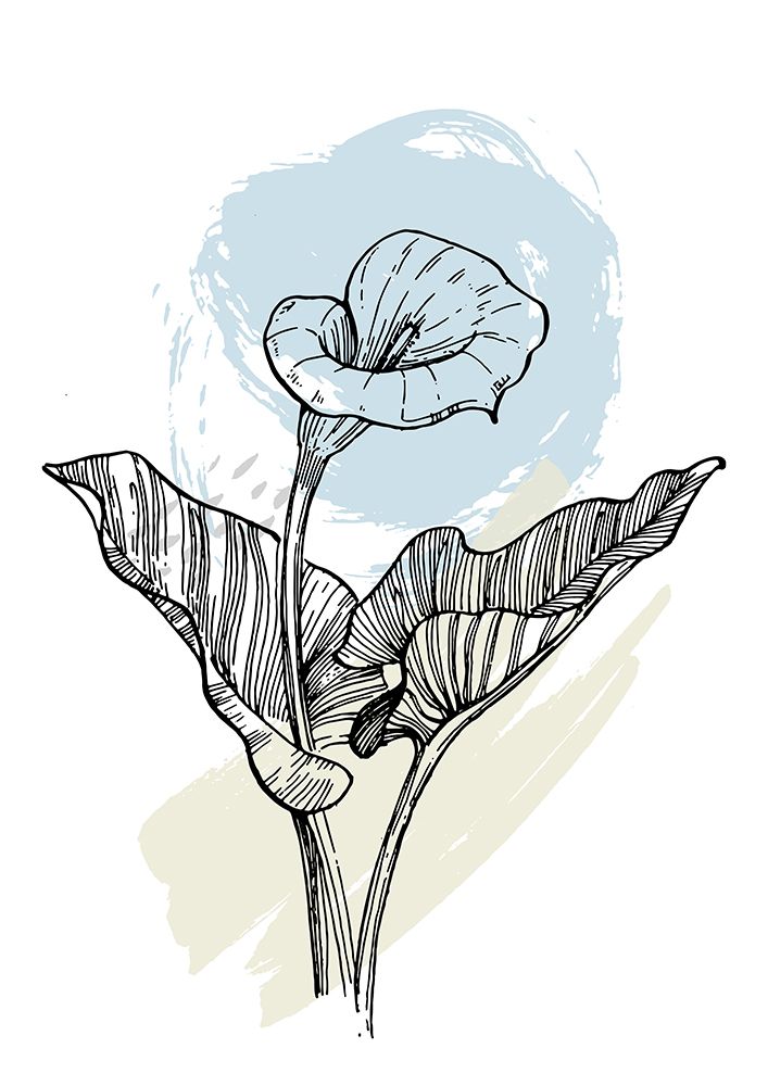 Callas flowers minimal art art print by AcantStudio for $57.95 CAD